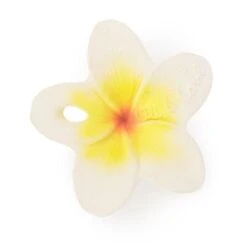 Mini Anneau De Dentition Fleur Hawaii - Chewy To Go