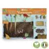 Coffret De Jardinage - Vivarium D'observation Des Racines