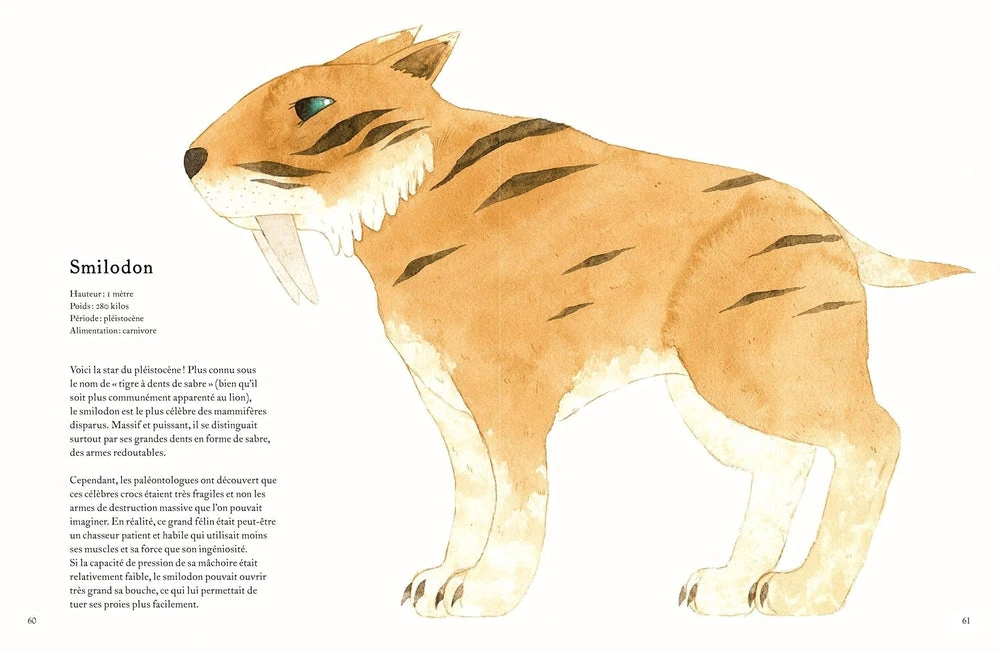 Animaux Oubliés - Livre Documentaire Enfant 6 Ans Et + – Image 2