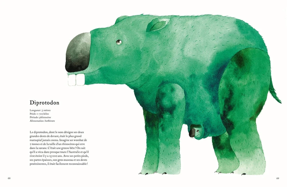 Animaux Oubliés - Livre Documentaire Enfant 6 Ans Et + – Image 3