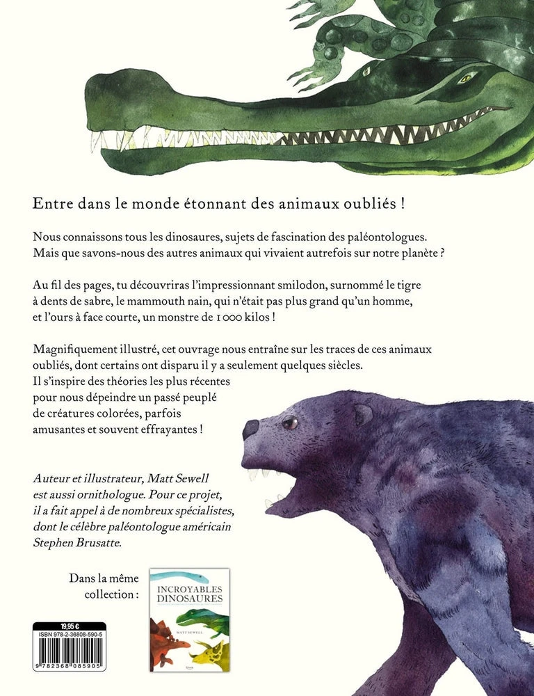 Animaux Oubliés - Livre Documentaire Enfant 6 Ans Et + – Image 5
