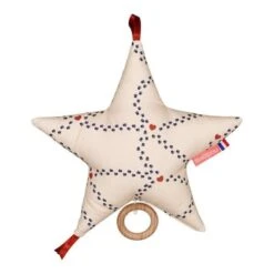 Coussin Boîte à Musique Etoile Motif Martin - Harry Potter