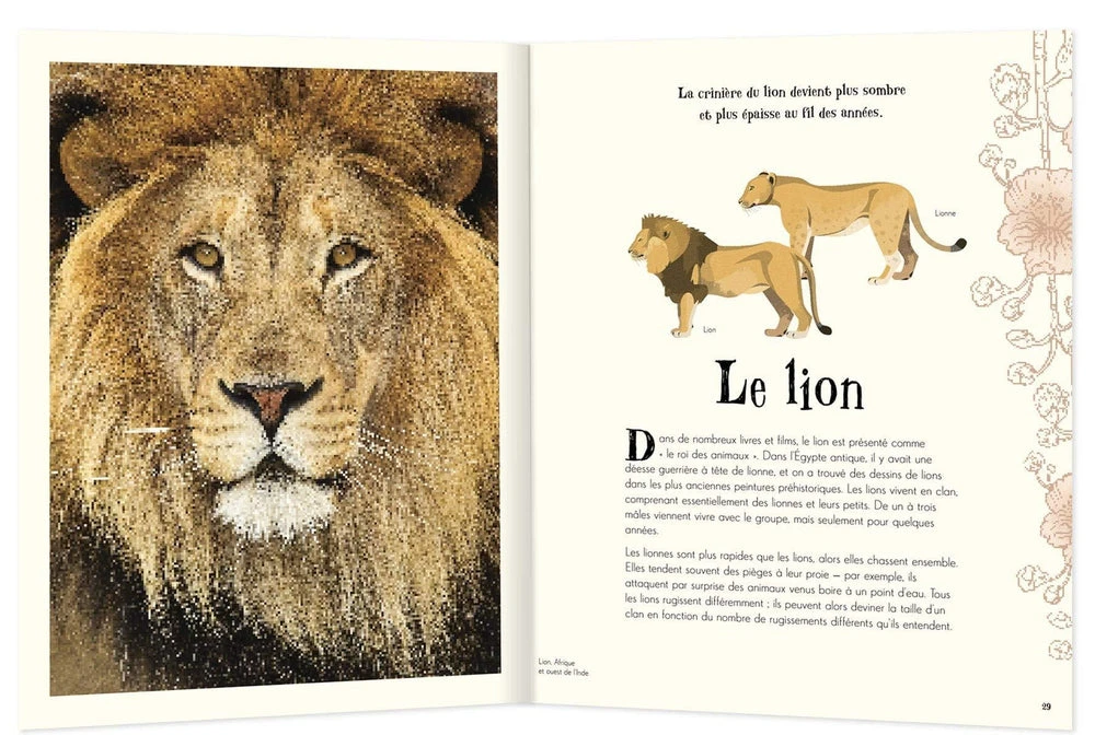 Anthologie Illustrée Des Animaux Fascinants - Livre Documentaire Enfant 6 Ans Et + – Image 2