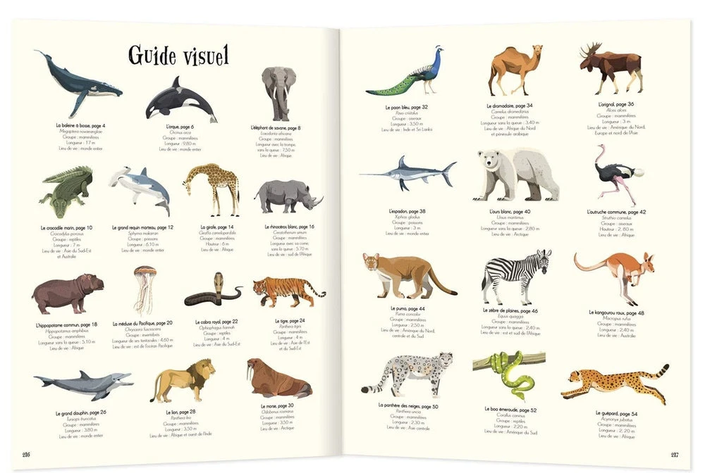 Anthologie Illustrée Des Animaux Fascinants - Livre Documentaire Enfant 6 Ans Et + – Image 5
