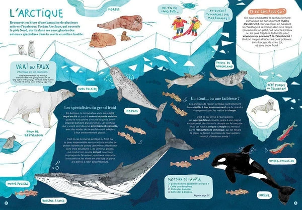 Océans ... Et Comment Les Sauver? - Livre écologie Enfant 6 Ans Et + – Image 3