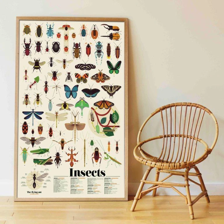 Insectes - Poster De Gommettes Enfant 6 à 12 Ans – Image 2