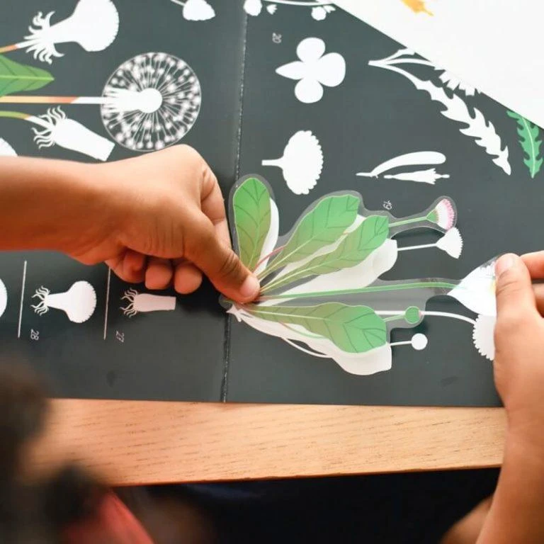 Botanique - Poster De Gommettes Enfant 7 Ans Et + – Image 5