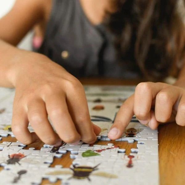 Puzzle Insectes 500 Pièces Pour Les Enfants Dès 7 Ans – Image 4