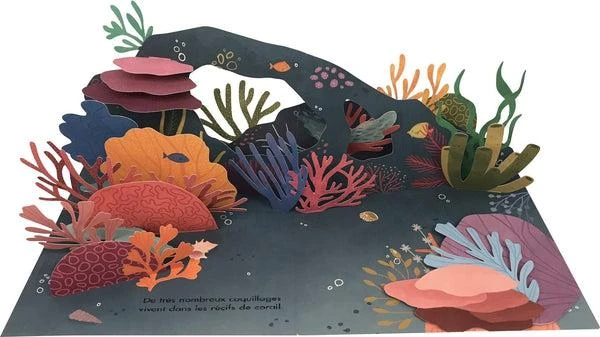 Trésors De L'océan - Livre Documentaire Pop-up Enfant 3 Ans Et + – Image 5