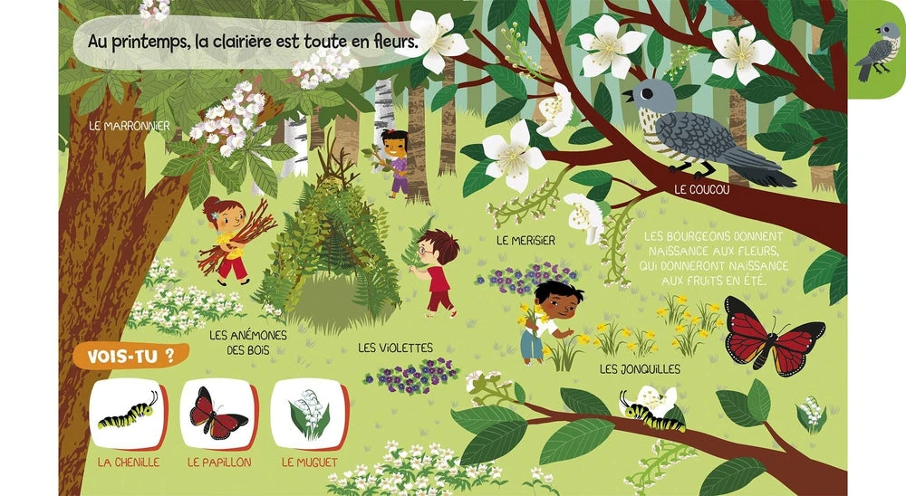 Mes Baby Docs Sonores La Forêt - Livre Documentaire Sonore Bébé 6 Mois Et + – Image 2