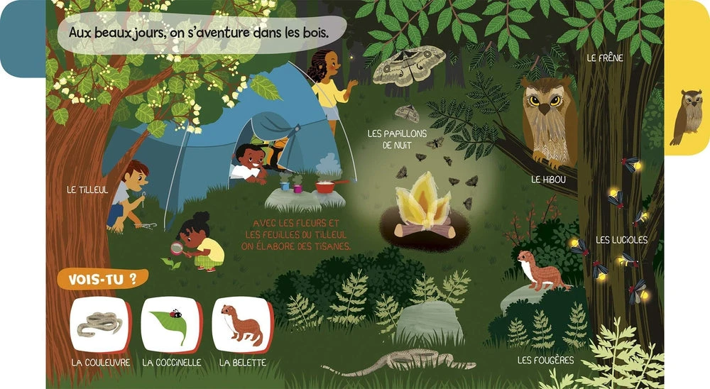 Mes Baby Docs Sonores La Forêt - Livre Documentaire Sonore Bébé 6 Mois Et + – Image 3
