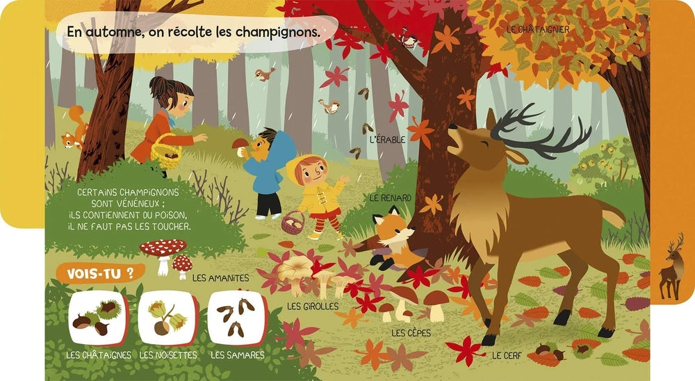 Mes Baby Docs Sonores La Forêt - Livre Documentaire Sonore Bébé 6 Mois Et + – Image 4