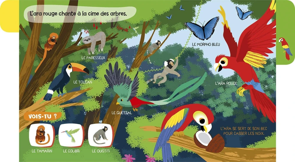 Mes Baby Docs Sonores La Jungle - Livre Documentaire Sonore Bébé 6 Mois Et + – Image 2