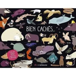 Bien Cachés... - Livre à Flaps Enfant 3 Ans Et +