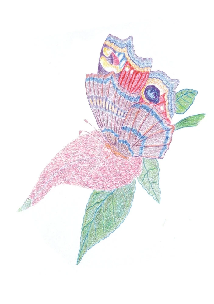 Boîte 12 Crayons De Couleur Qualité Supérieure - Crayons Enfant 3 Ans Et + – Image 7