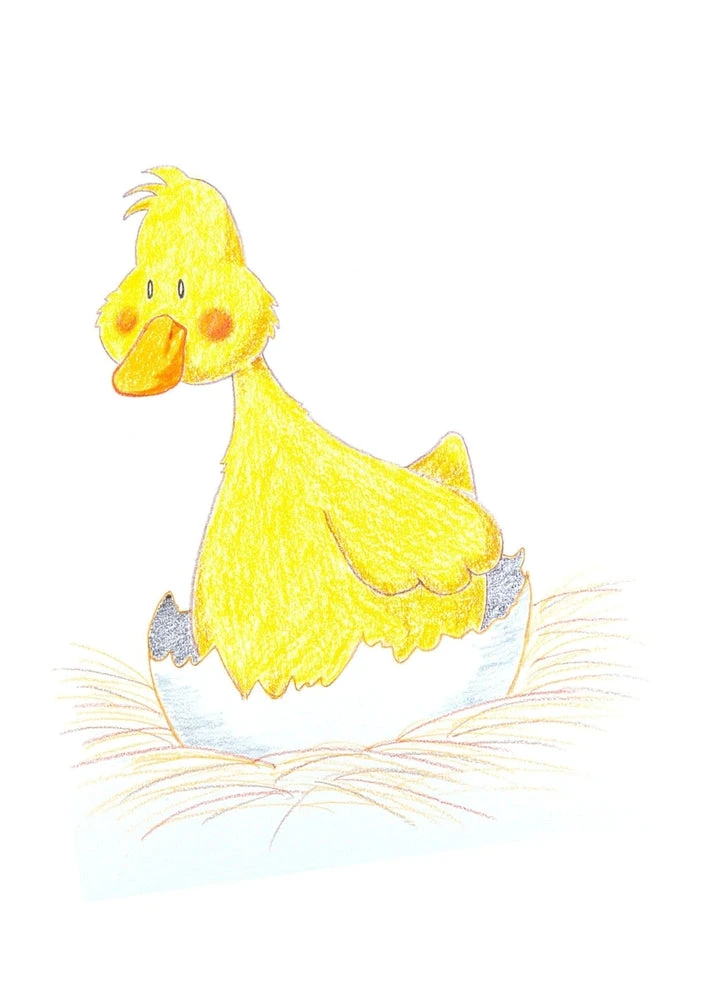 Boîte 12 Crayons De Couleur Qualité Supérieure - Crayons Enfant 3 Ans Et + – Image 6