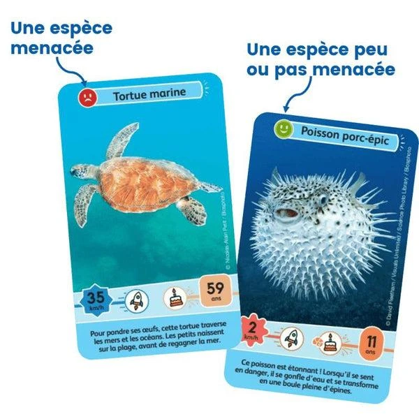 Défis Nature Junior - Merveilles De La Mer – Image 5