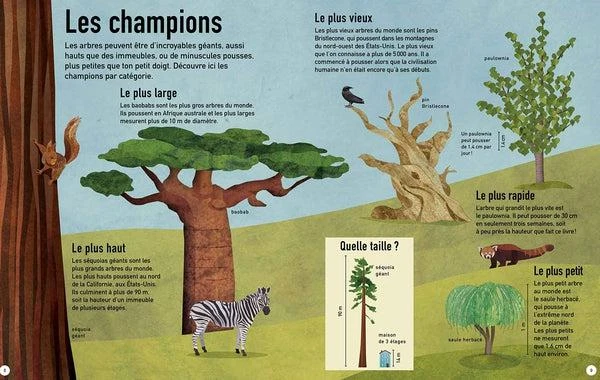 La Terre En Vert - Livre écologie Enfant 5 Ans Et + – Image 2