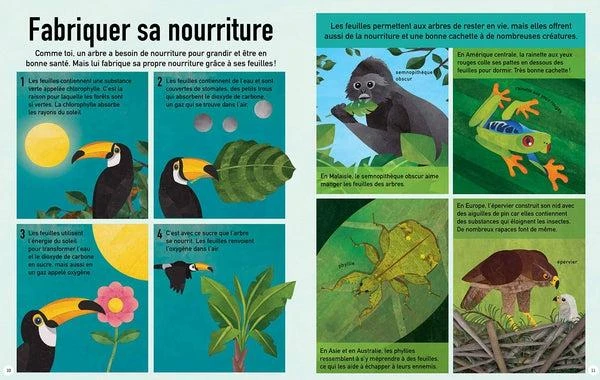 La Terre En Vert - Livre écologie Enfant 5 Ans Et + – Image 3