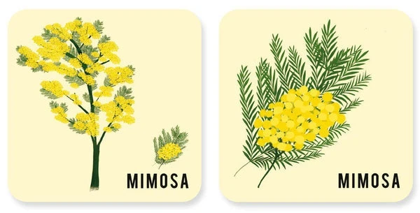 Mémory - L'arbre Et Sa Feuille – Image 7