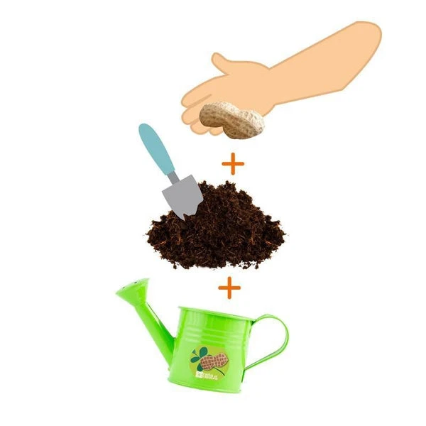 Petit Arrosoir Vert Avec Graines De Cacahuètes à Semer – Image 3