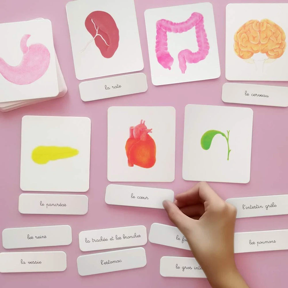 Nathan Mon Coffret Montessori Du Corps Humain - Coffret éducatif Enfant 5 Ans Et + – Image 4