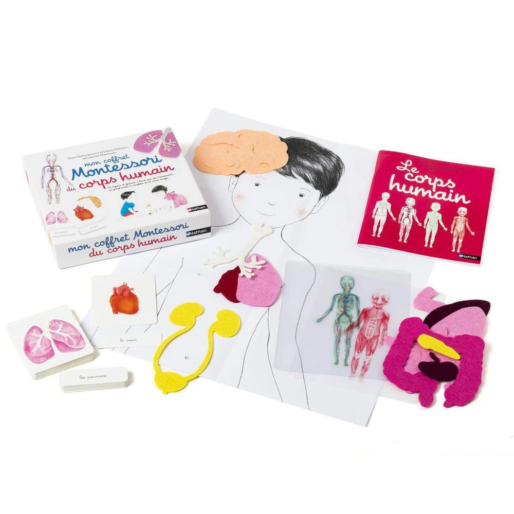 Nathan Mon Coffret Montessori Du Corps Humain - Coffret éducatif Enfant 5 Ans Et + – Image 2
