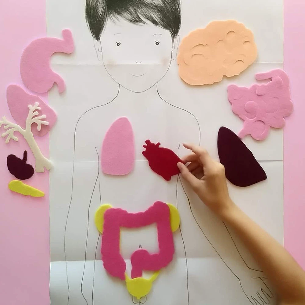 Nathan Mon Coffret Montessori Du Corps Humain - Coffret éducatif Enfant 5 Ans Et + – Image 5