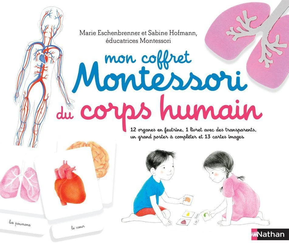 Nathan Mon Coffret Montessori Du Corps Humain - Coffret éducatif Enfant 5 Ans Et + – Image 6