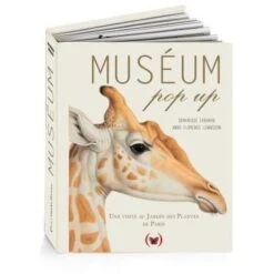 Muséum Pop Up - Mini Livre Pop-up Enfant 6 Ans Et +