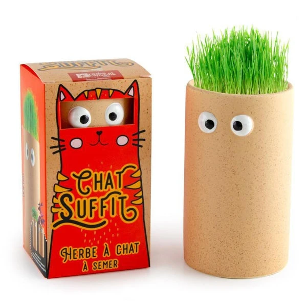 Kit De Jardinage - Pot Yeux "Chat Suffit" - Orge à Semer – Image 3