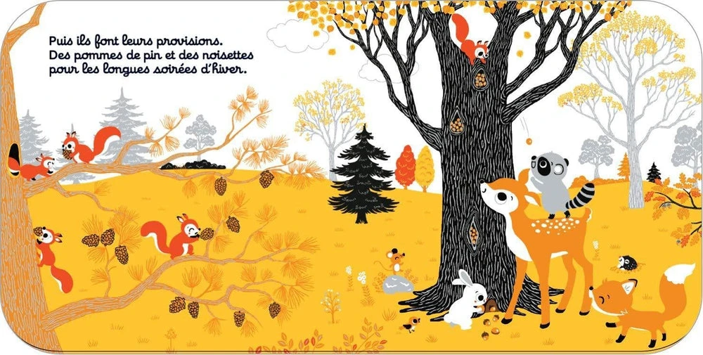 Nathan Regarde Dans La Forêt - Petite Histoire Bébé 6 Mois Et + – Image 3