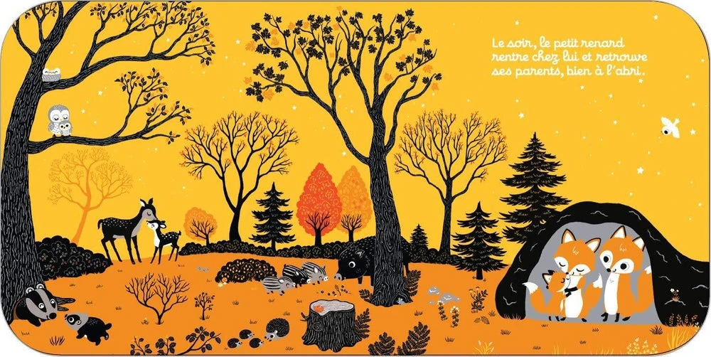 Nathan Regarde Dans La Forêt - Petite Histoire Bébé 6 Mois Et + – Image 4