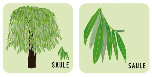 Mémory - L'arbre Et Sa Feuille – Image 9