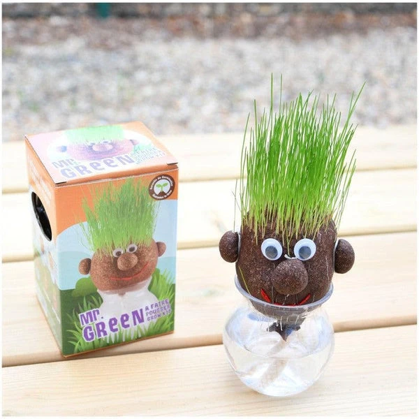 Tête à Pousser Avec Graines De Gazon - Mr Green – Image 4