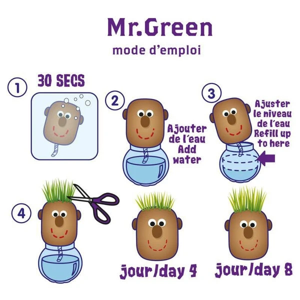 Tête à Pousser Avec Graines De Gazon - Mr Green – Image 3
