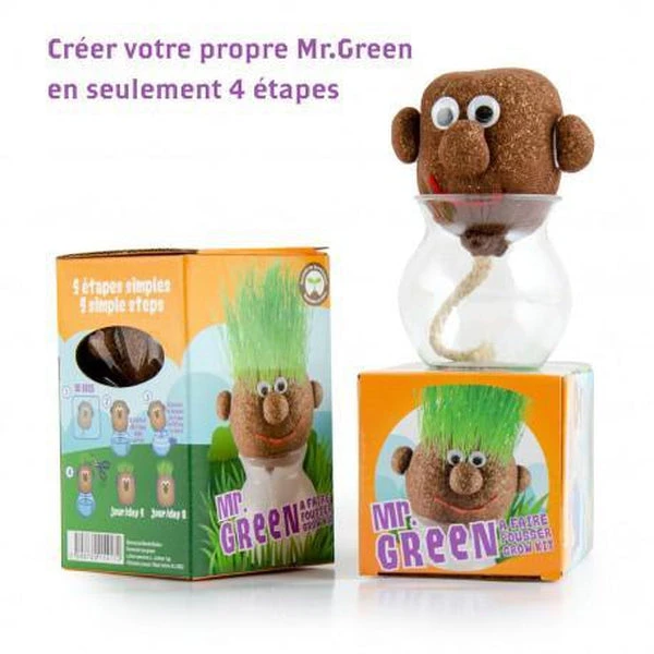 Tête à Pousser Avec Graines De Gazon - Mr Green – Image 2