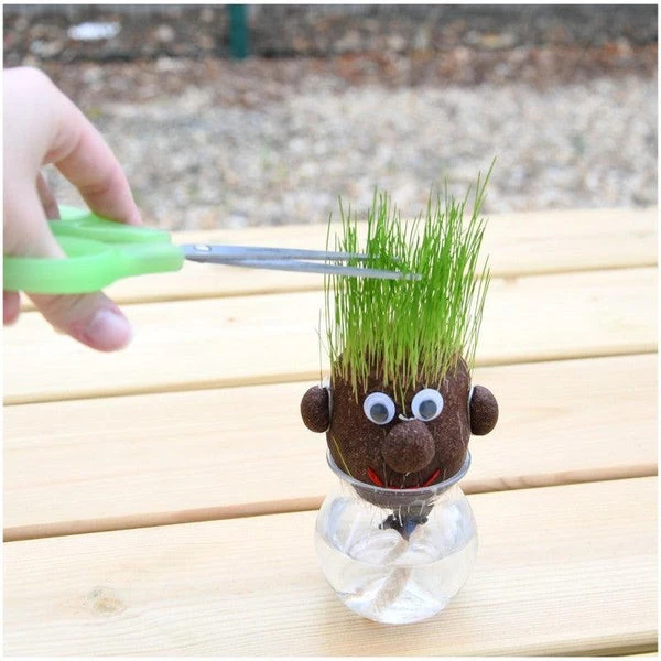 Tête à Pousser Avec Graines De Gazon - Mr Green – Image 5