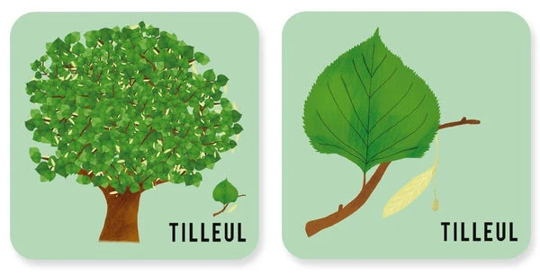 Mémory - L'arbre Et Sa Feuille – Image 10