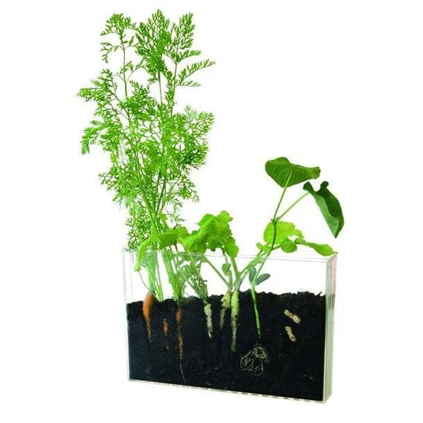 Coffret De Jardinage - Vivarium D'observation Des Racines – Image 3